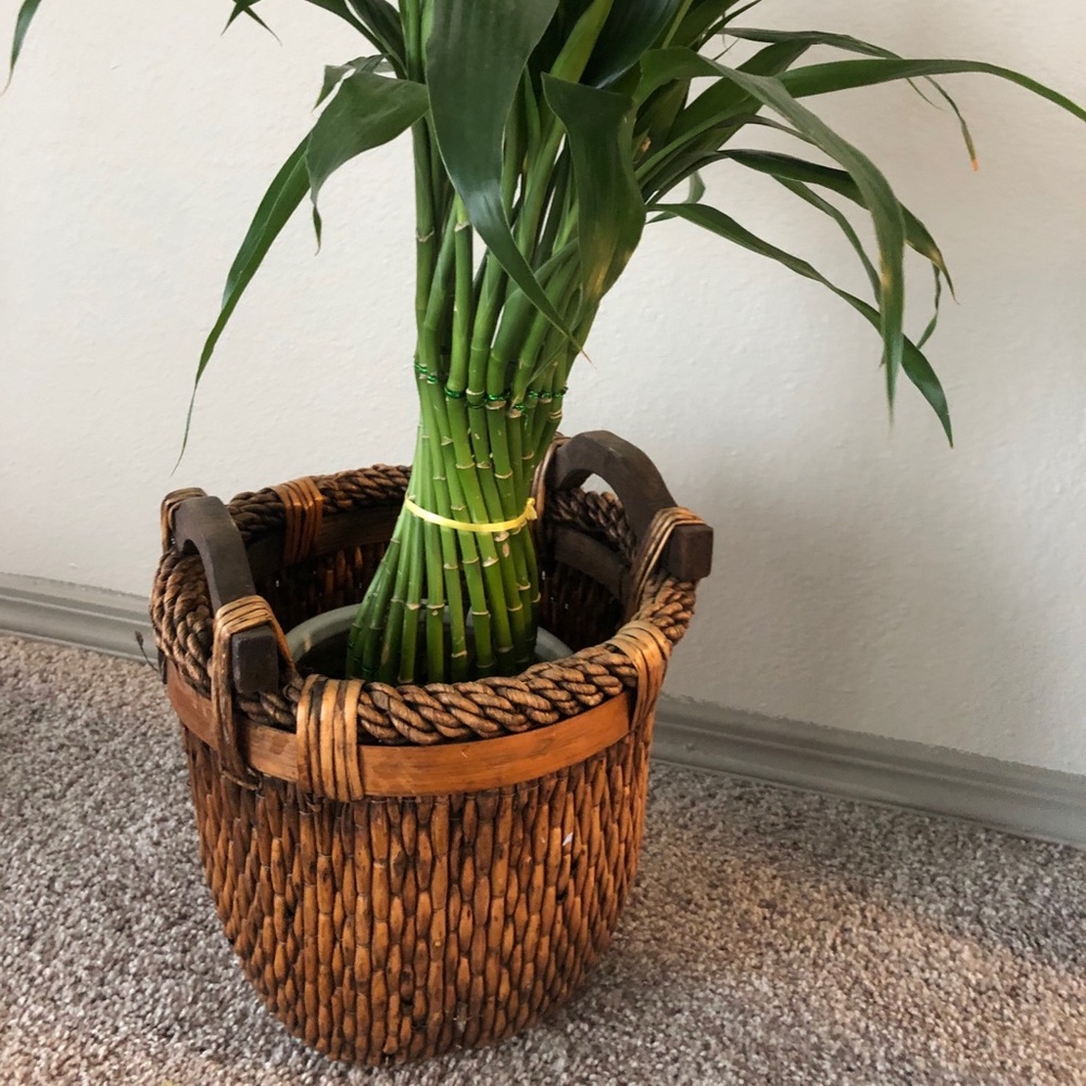 Boho Woven Basket
